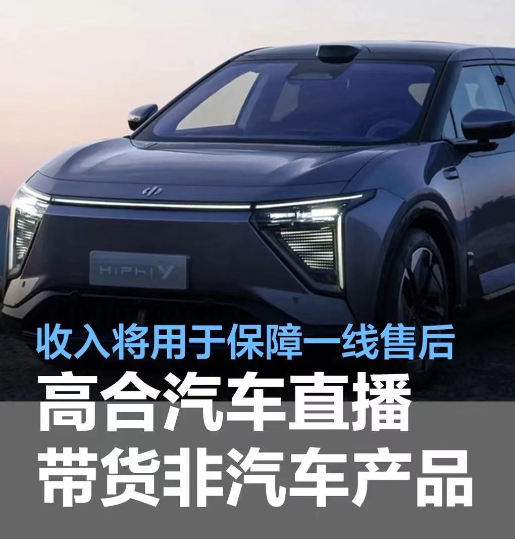 #高合汽车直播带货非汽车类产品，收入将用于保障一线售后#
近日，高合汽车在其官方