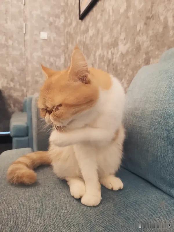 顶级活法只有这两个字：装傻！看完这3点，你会发现以前白活了！

“聪明人都在装糊