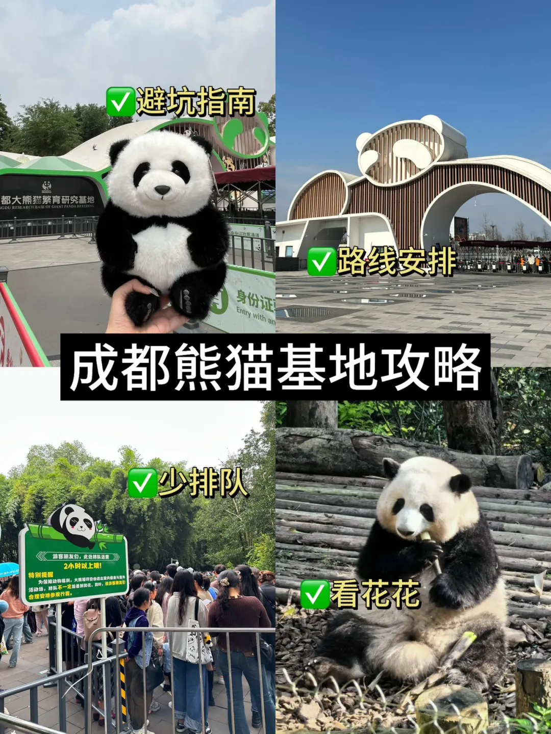 11-12月成都熊猫基地超全攻略，看完不迷路