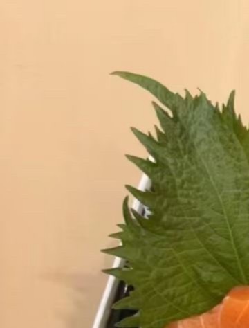 已经路过的风景就不要再打听，失而复得的东西根本回不到最初的样子，就当风没吹过，你