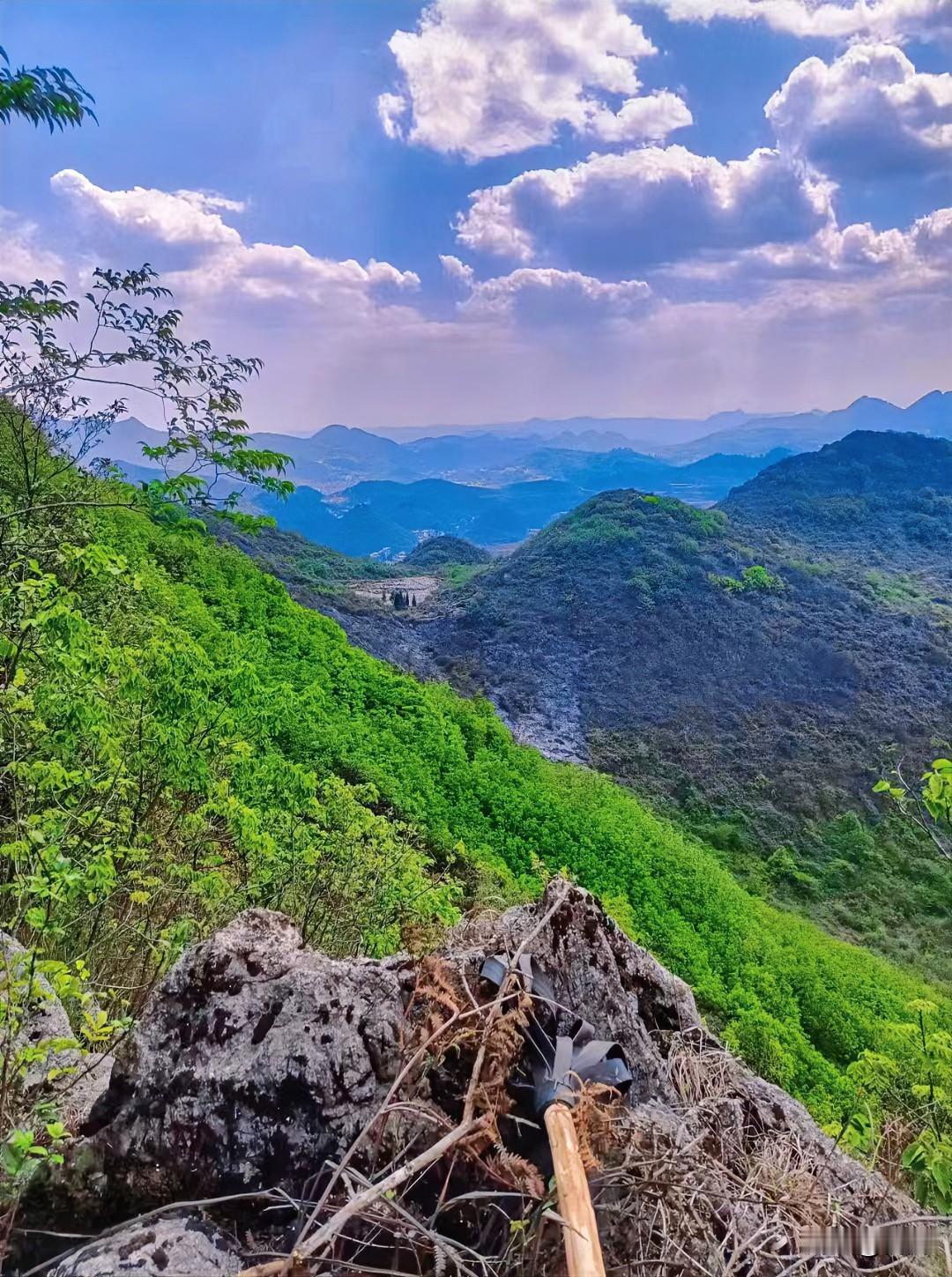 今天爬山的收获真不小！站在山顶往下看，山连着山，一片翠绿，像给大地披上了一层绿毯