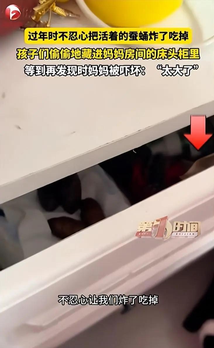 黑龙江俩孩子大年三十那天把蚕蛹藏进妈妈床头柜，再发现时已化成大飞蛾！妈妈打开吓出