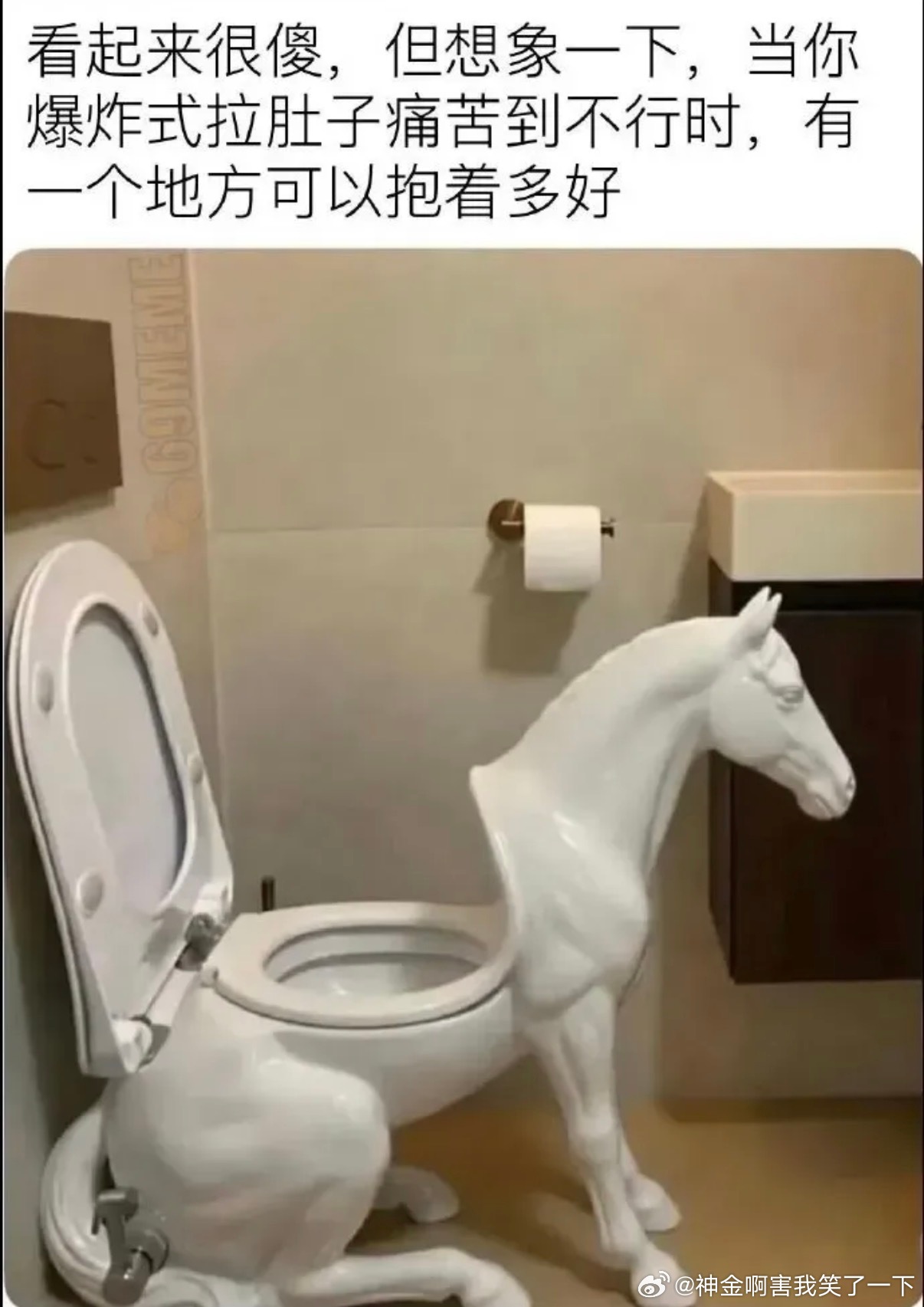 6246真马桶 