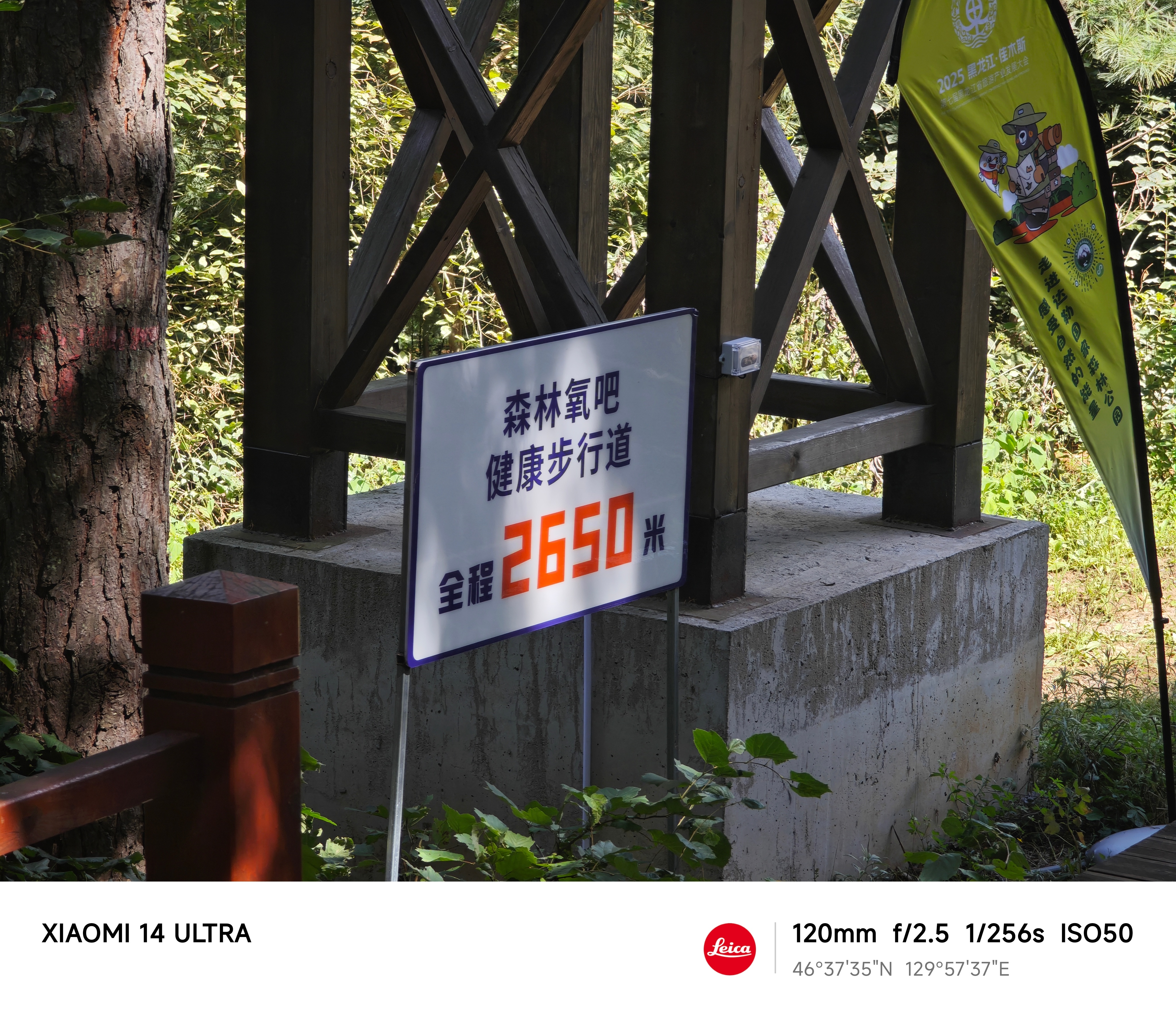 往日杂拍系列扫街