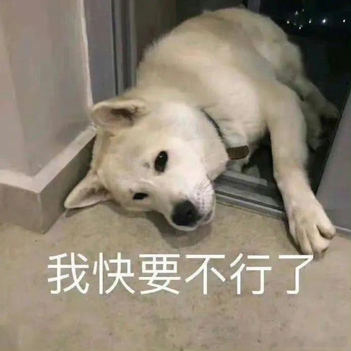 延误一小时加限速又晚了半个多小时终于回到杭州啦！明天后天都会在杭州场线下哈家人们