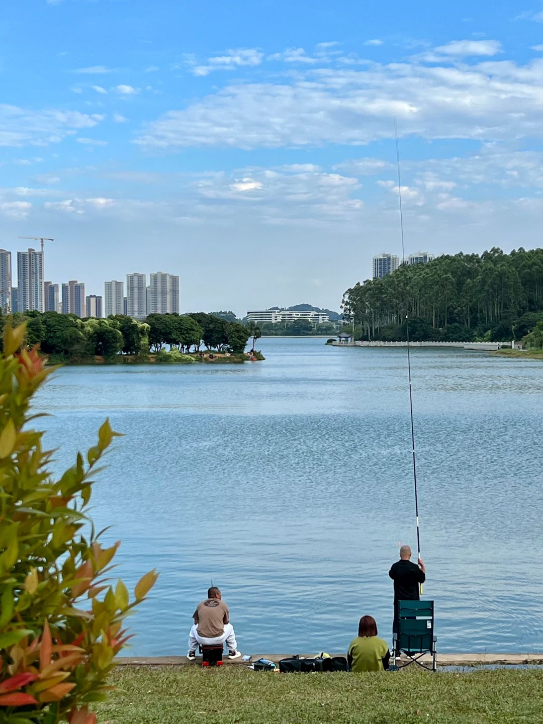 Live图｜钓鱼佬是懂享受的😍这风景好治愈