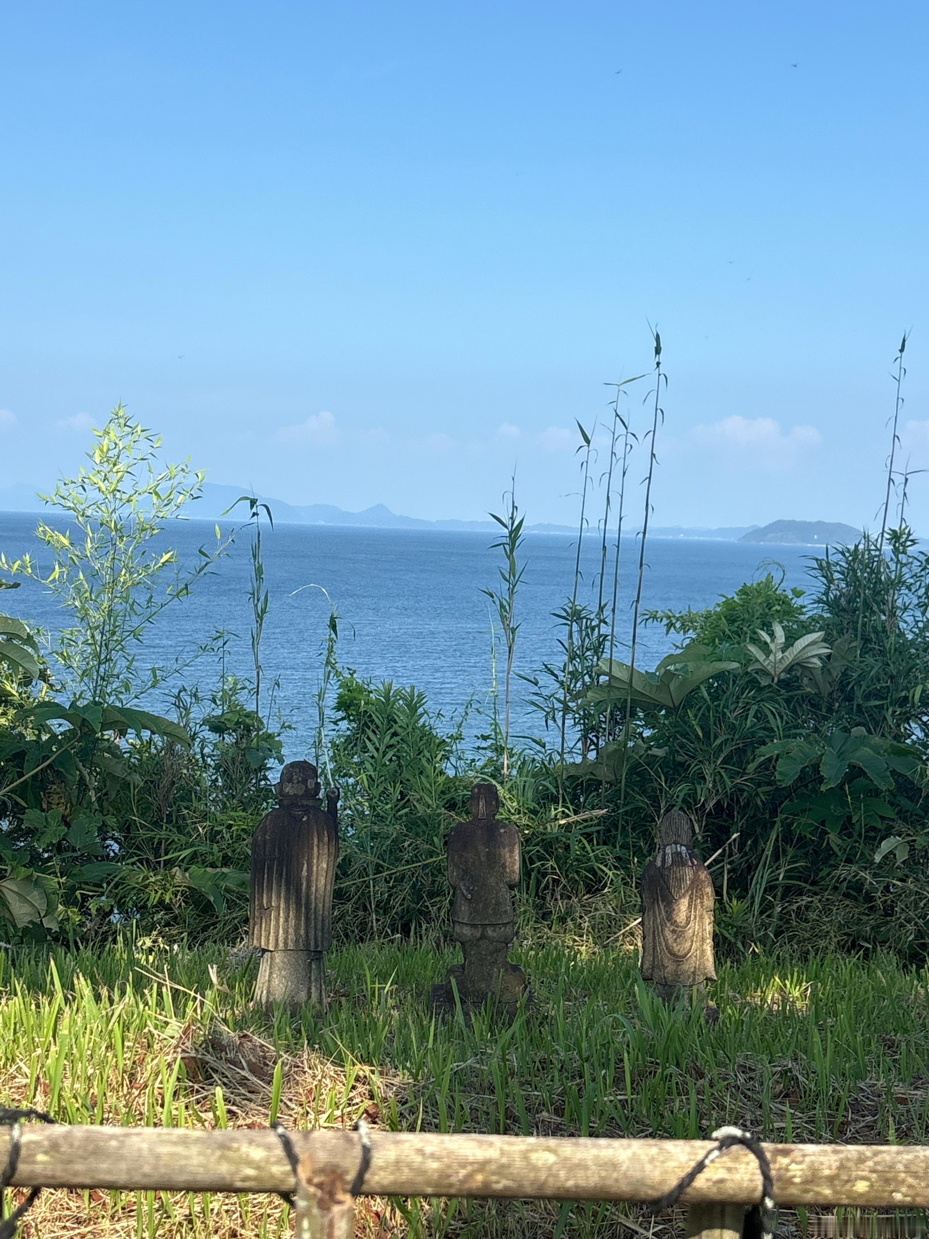 真到静海来了 