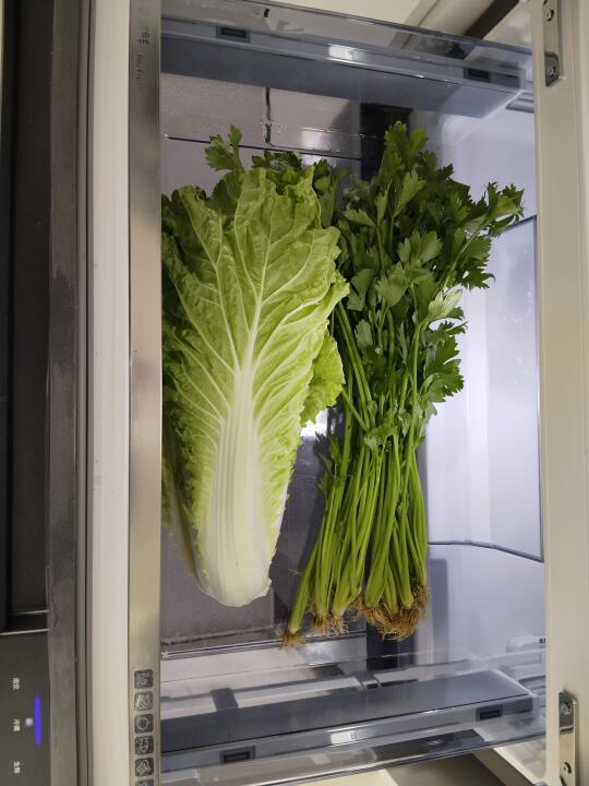 来吧，露个营，露营冰箱冰箱里