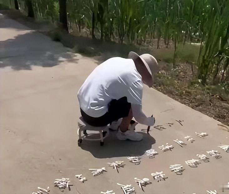 见过地上写字，可你见过文字看起来凭空飘在空中的吗？河南一位务农博主的作品刷屏网络