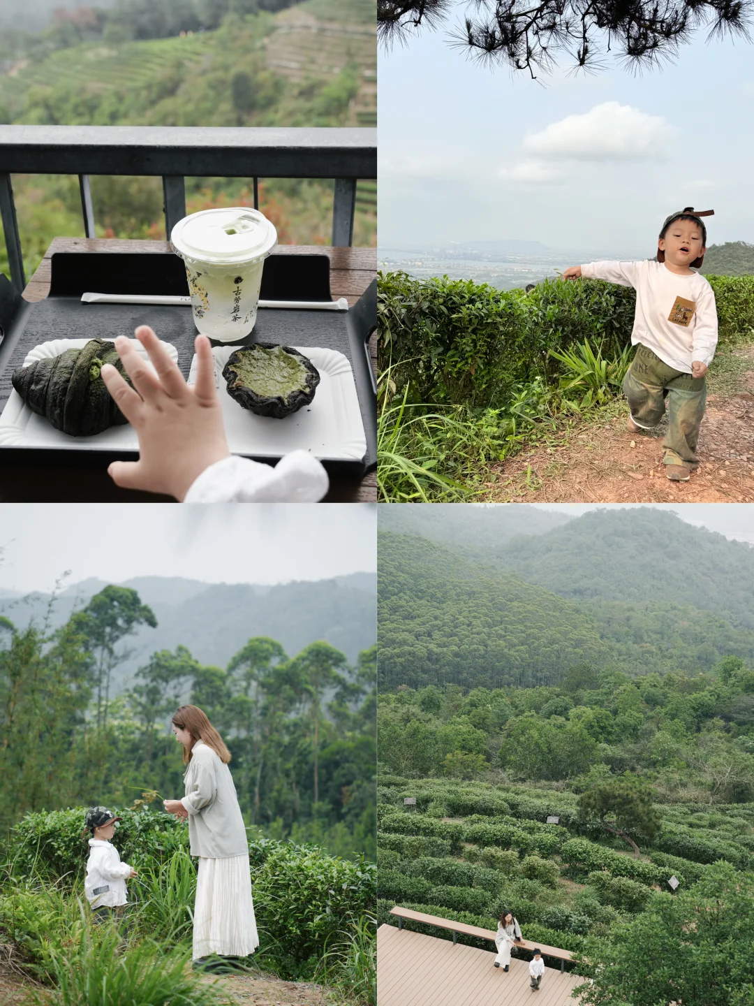 howto过春天：上茶山🍵🍃