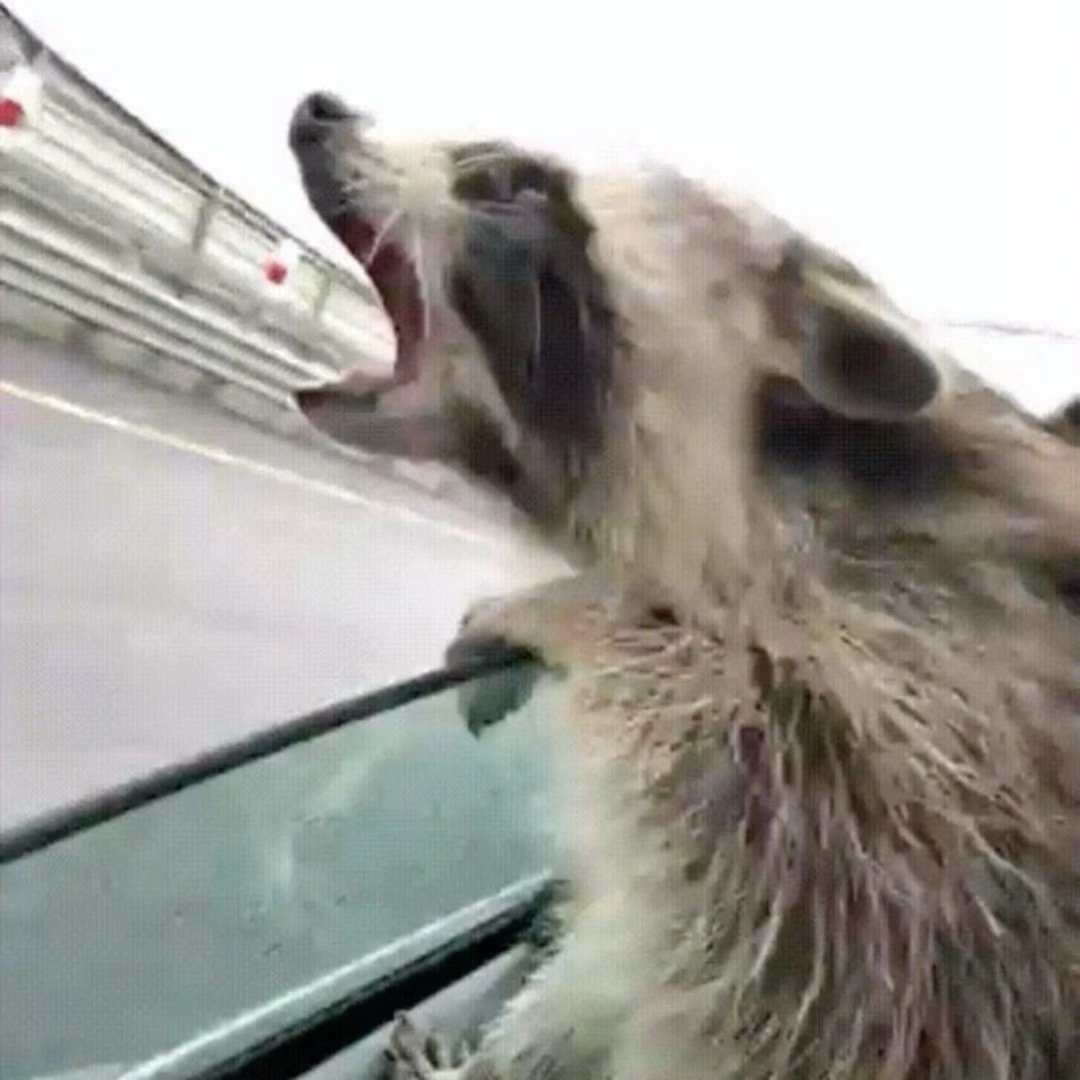 感情最怕的就是拖着！ 