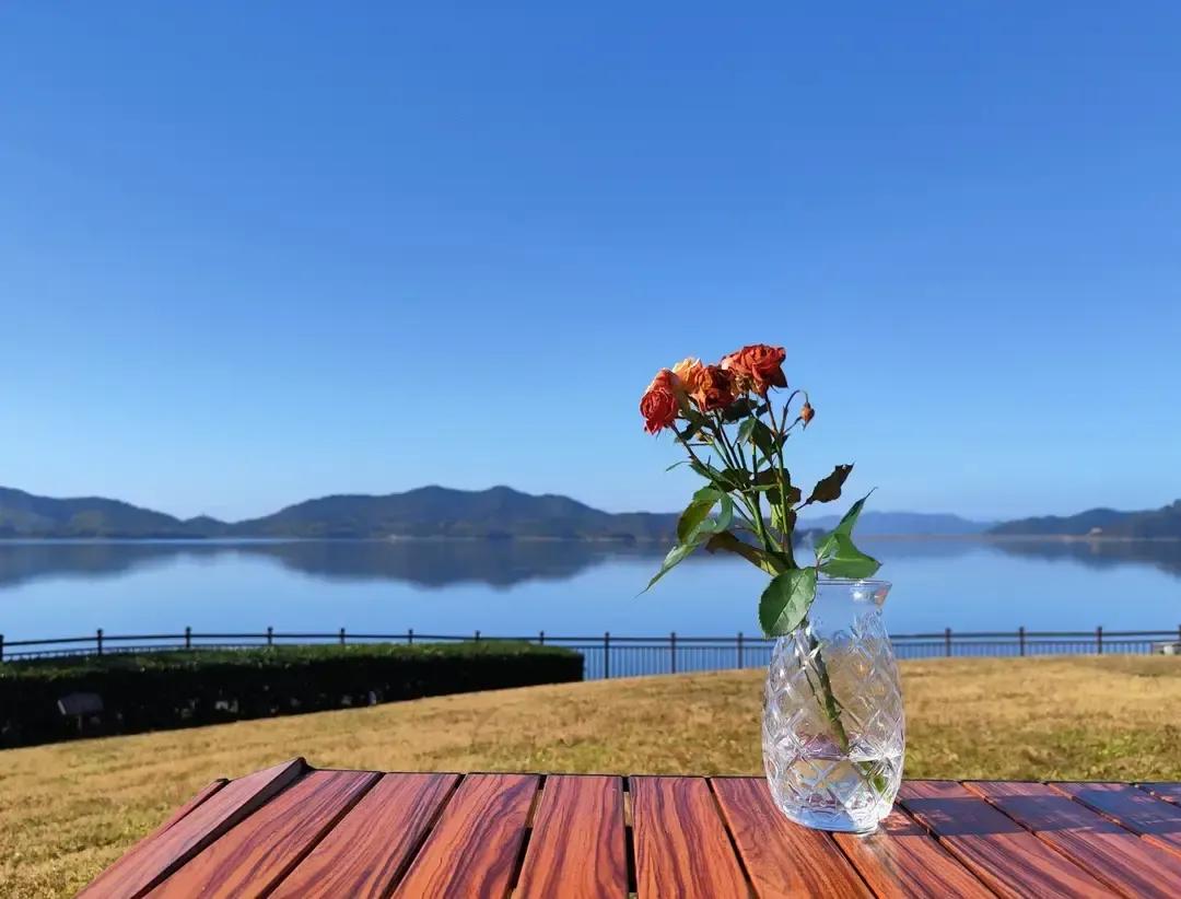 周六一早被儿子叫醒，说酒店订好了，导航显示两小时到四明山。
我抱着小孙子挤在后座