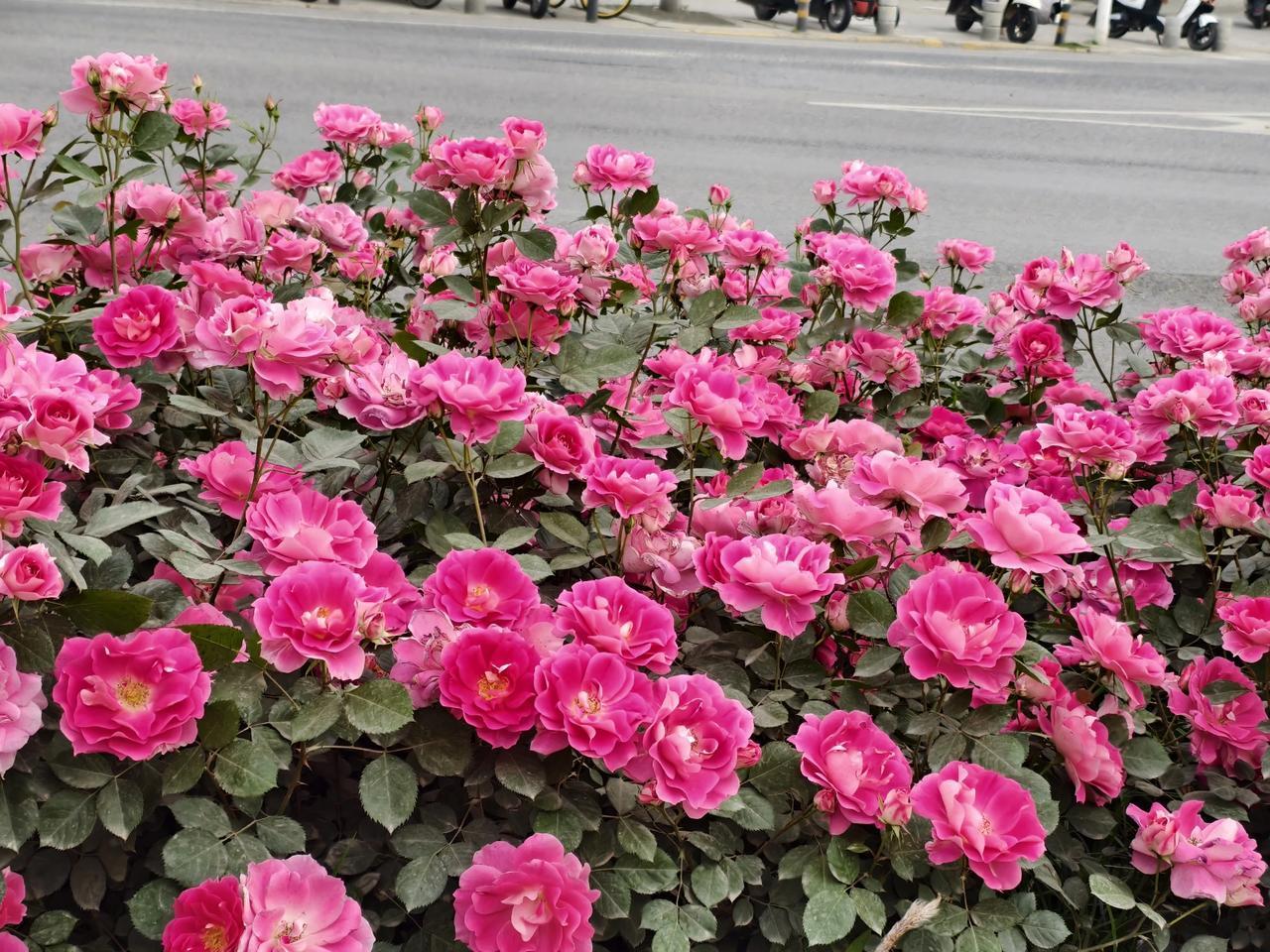 这个宇宙，只要你耐心等待，什么愿望都有可能实现，虽然这种可能性十分渺茫，但总是存