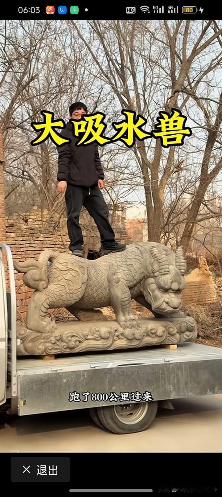 吸水兽
艺术精湛