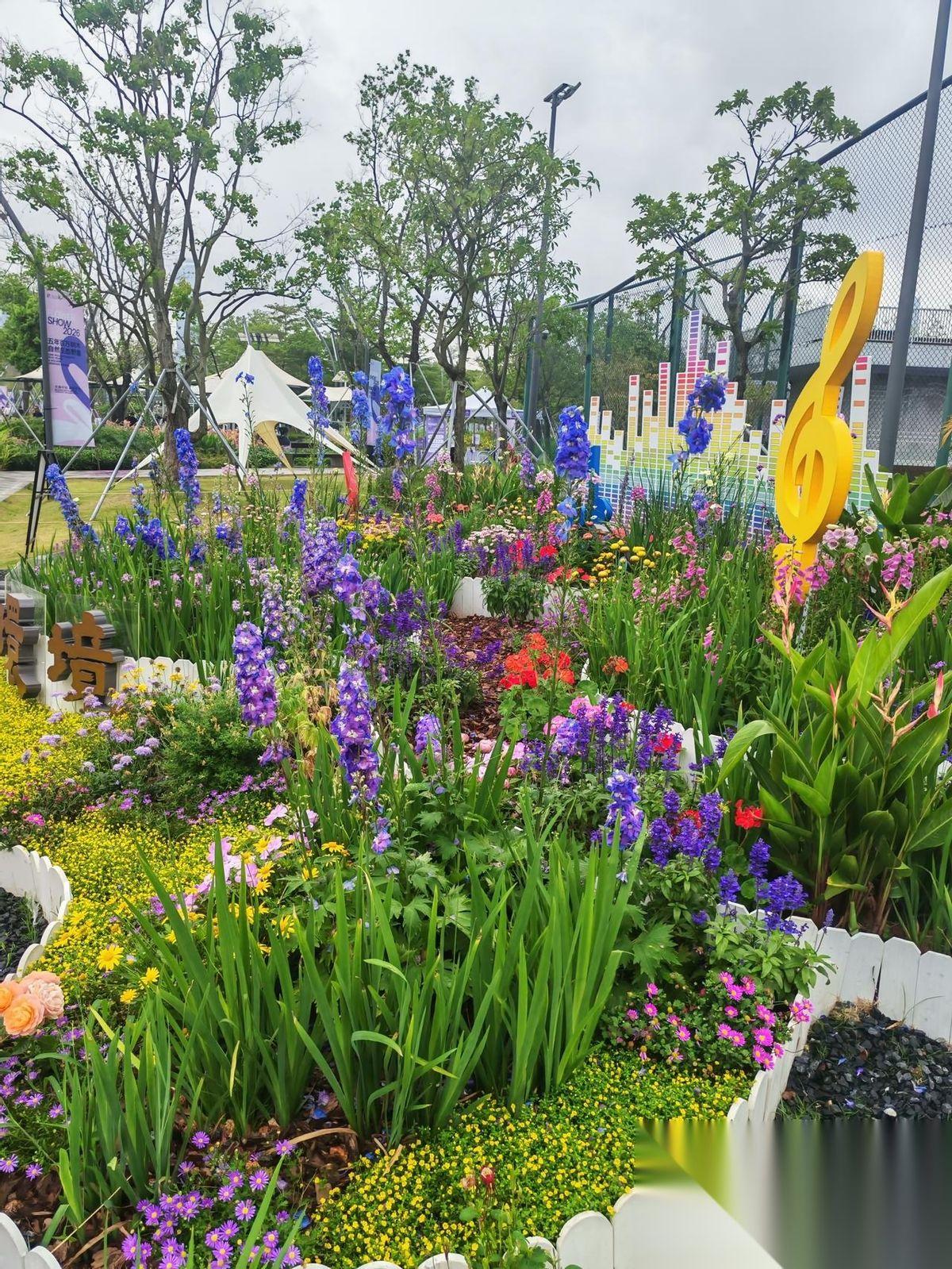 坐标深圳！消费降级严重，这个周末的感受太明显了。不明白，月入过万的我怎么就活的不