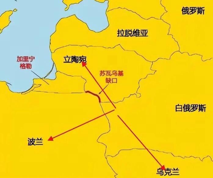 立陶宛国防参谋长认为，俄罗斯与北约冲突，可能失去飞地
立陶宛国防参谋长、海军少将