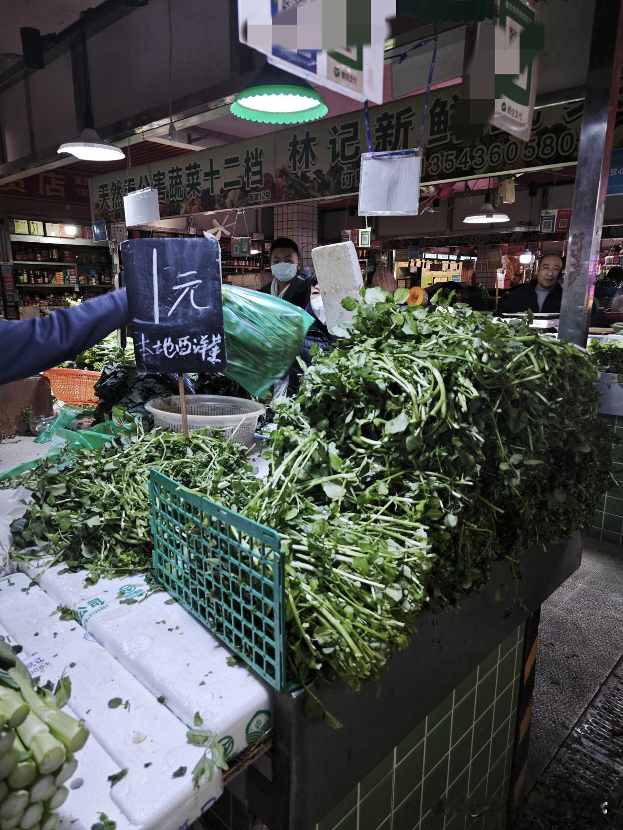 佛山最便宜的菜市场！
西洋菜1元1斤，摊主直言不赚钱？
 
逛佛山这家菜市场直接