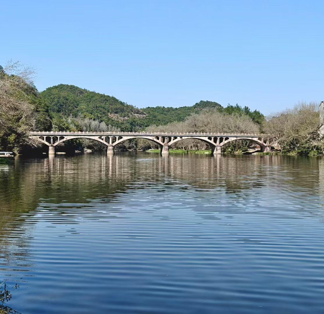 春风拂过，把天光与树影都揉进了水里，
连时光都慢了下来，只剩这份安然与清宁。