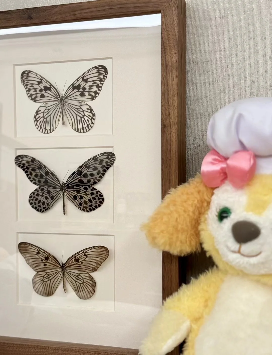 半夜刷到了自己去年的作品