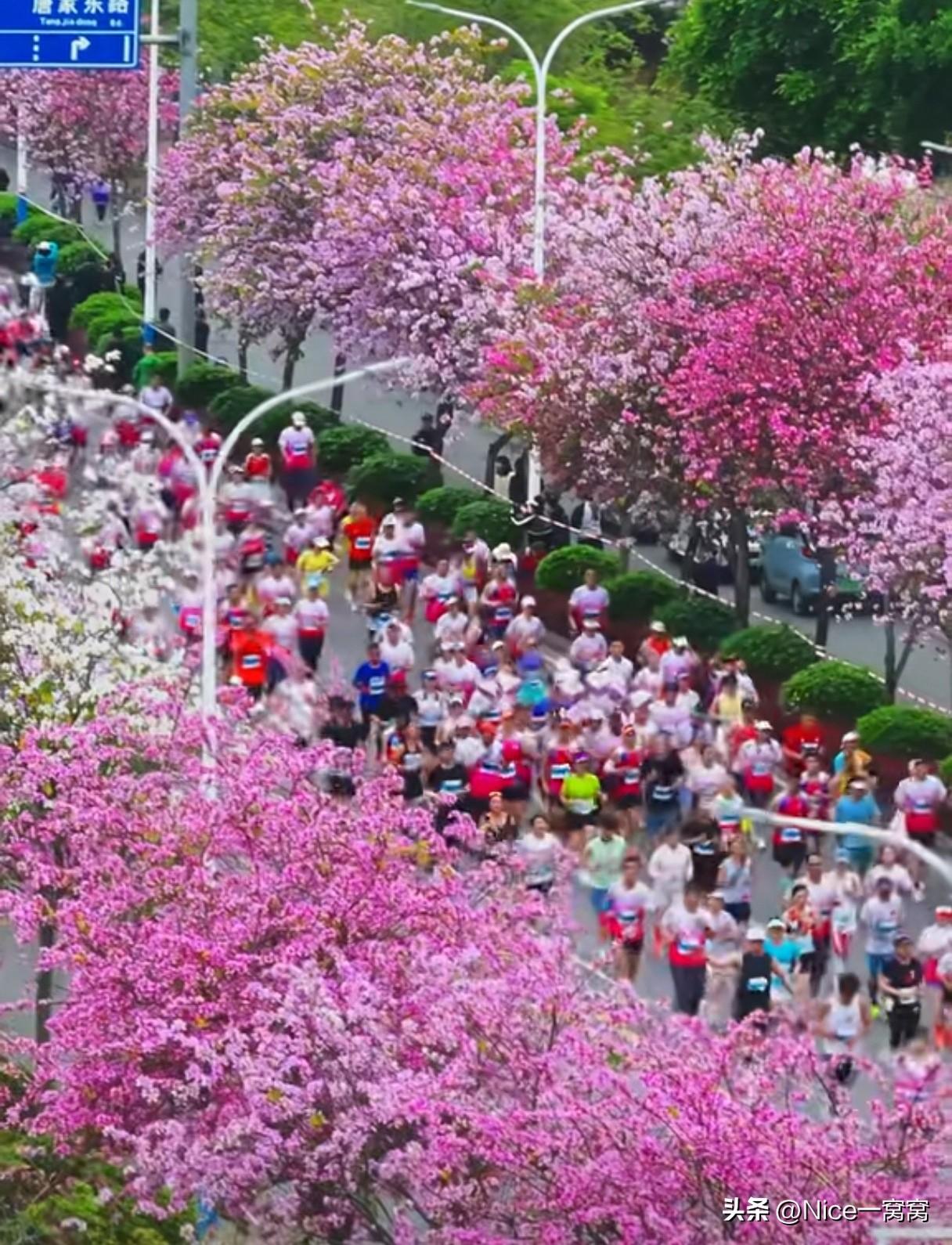 被惊艳到了！广西柳州这下火了！因为一场马拉赛！

3月29日的柳州马拉松，不止是