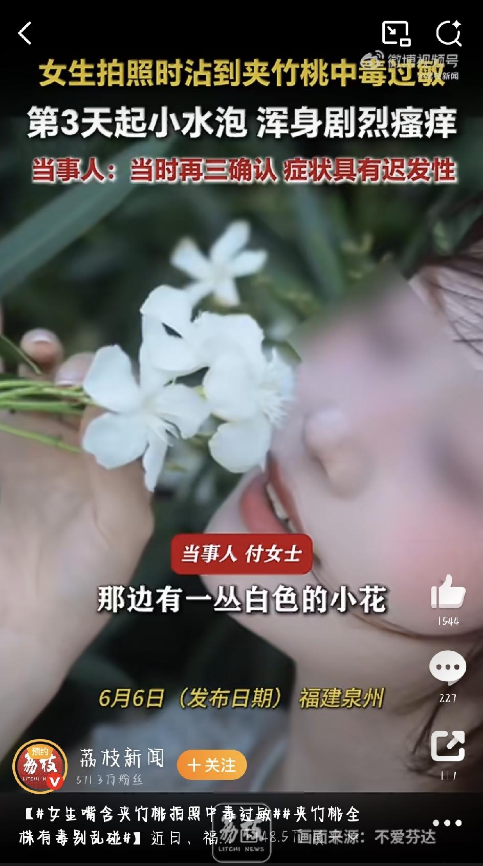 最近福建泉州的付女士遇到了一件糟心事——本想拍几张美美的照片，结果却被几枝夹竹桃
