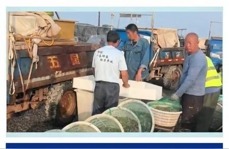 日本最先研究出了氢能电池，于是日本申请了上千个专利，独家生产，等着躺着挣钱，结果