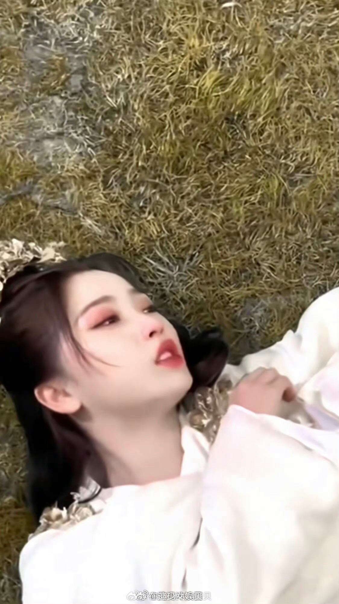 《苍兰诀》：2026年2月了，是谁还没有走出来？ 