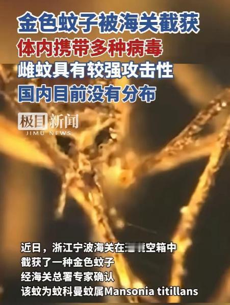 又是美国，又是病毒，这次不是实验室，是一整船“带毒蚊子”直接开到中国宁波！
 