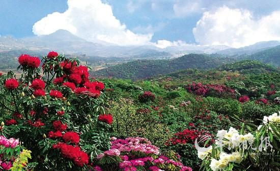 节后重磅会议预告与板块机会探讨！
节后重磅会议信息如下：
据媒体消息，第十四届中