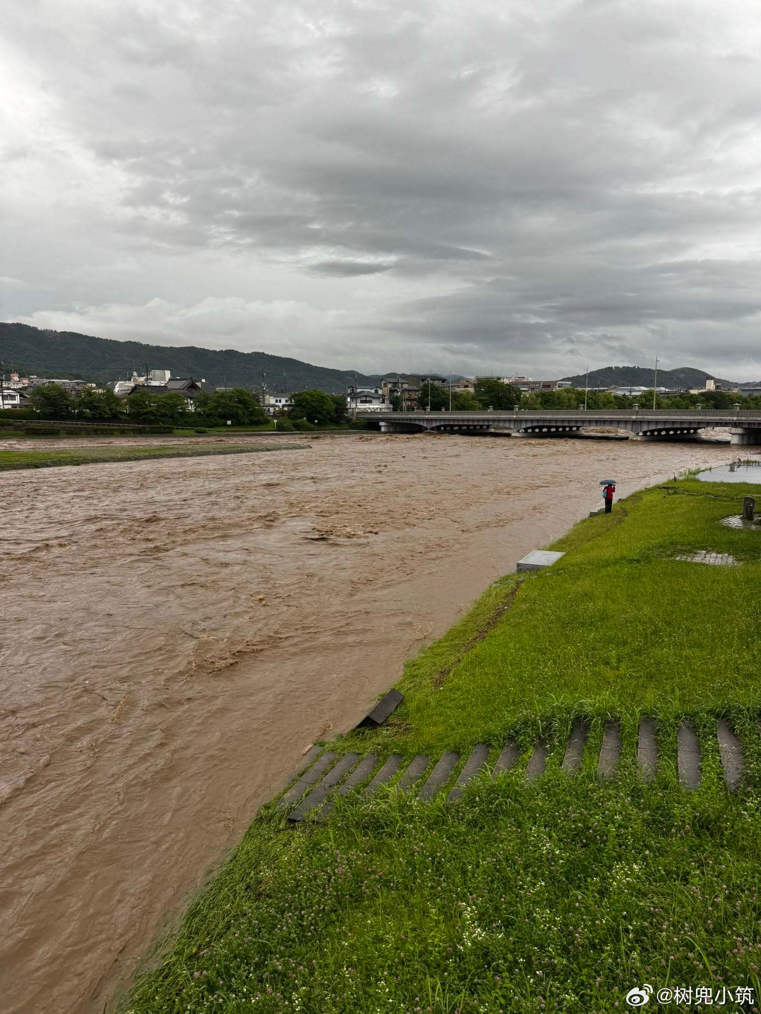 今天的京都鸭川这二天日本多处暴雨中。 