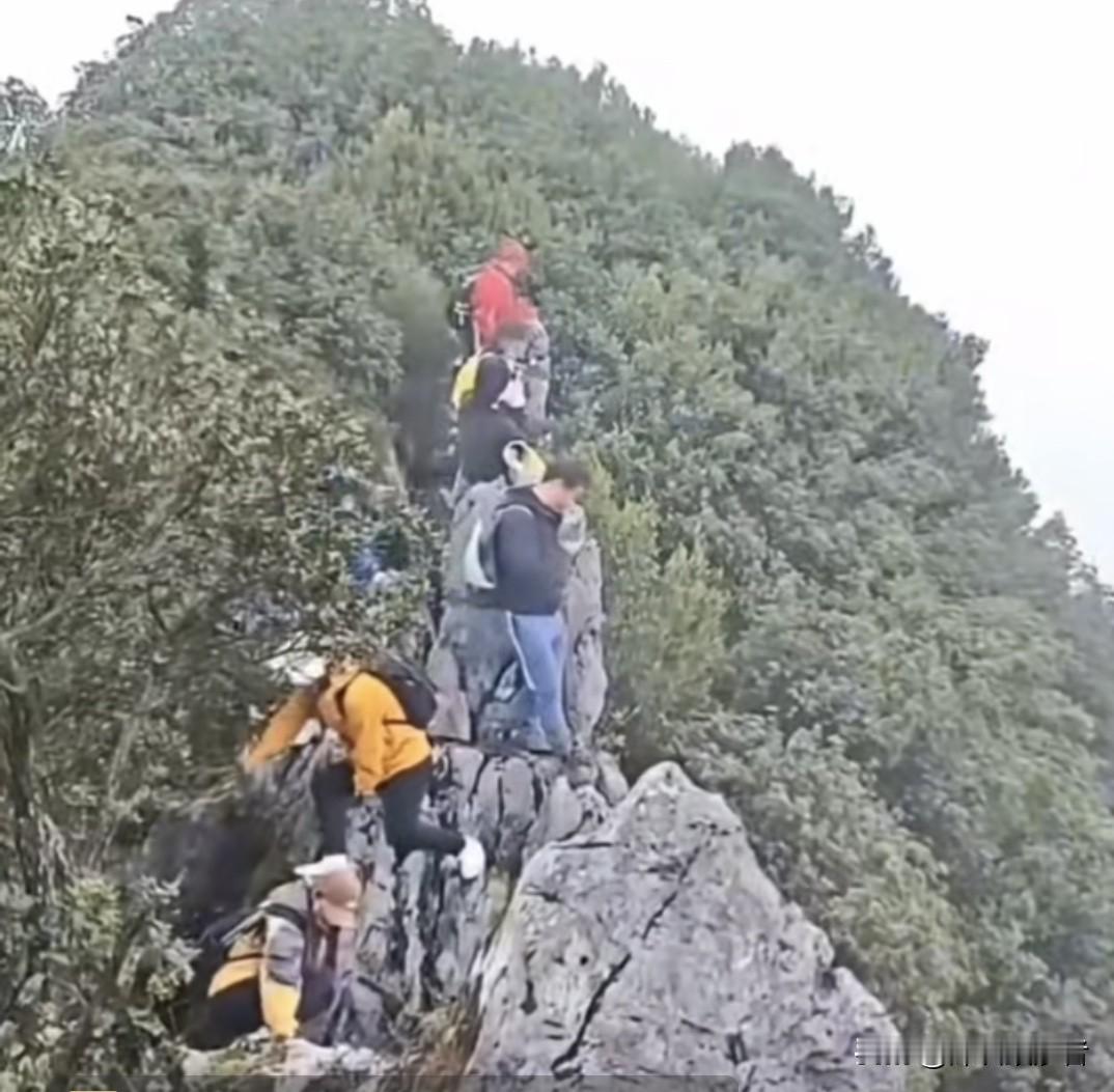 幸亏深圳那山上郁郁葱葱的树，你看12月6日，一哥们儿站在排牙山40米高的悬崖边，