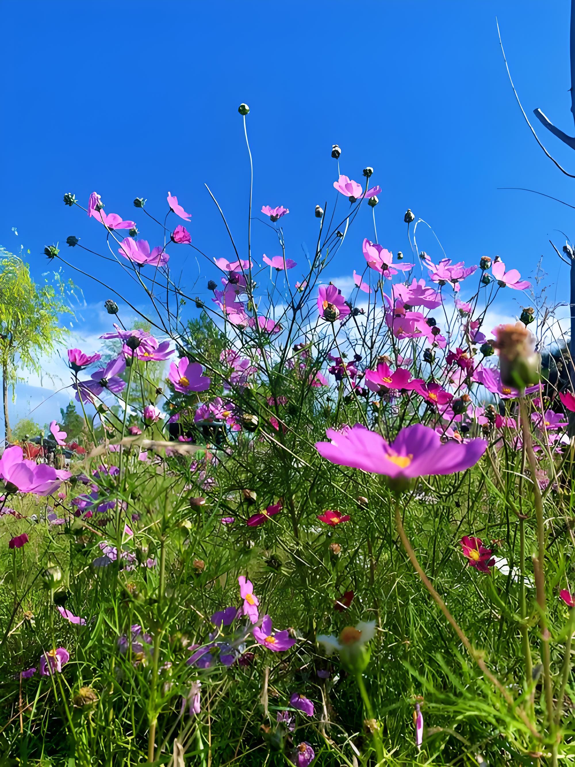 我想要个诺言能让心永远不怕再孤单问过所有的未来终于才明白就是 现在恒星在东升西落