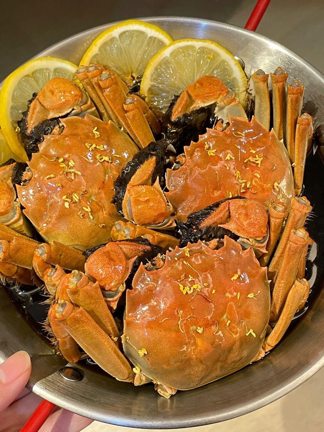 吃不腻！根本吃不腻的醉卤大闸蟹！！