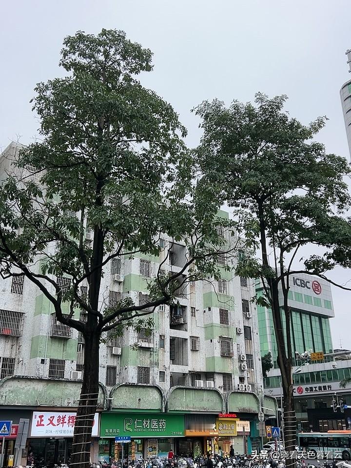 人生如戏，全靠演技。

这句话大部分人都听过，

但是大部分人还是犯了那一个老毛