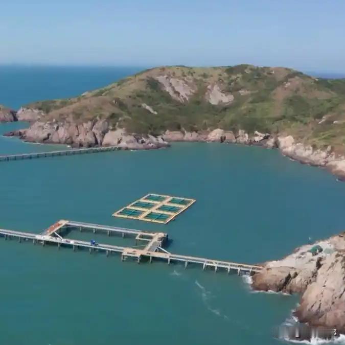 1月29日，浙江舟山的一家养殖公司发布了一则招聘启事，计划招募2男2女共4名“守