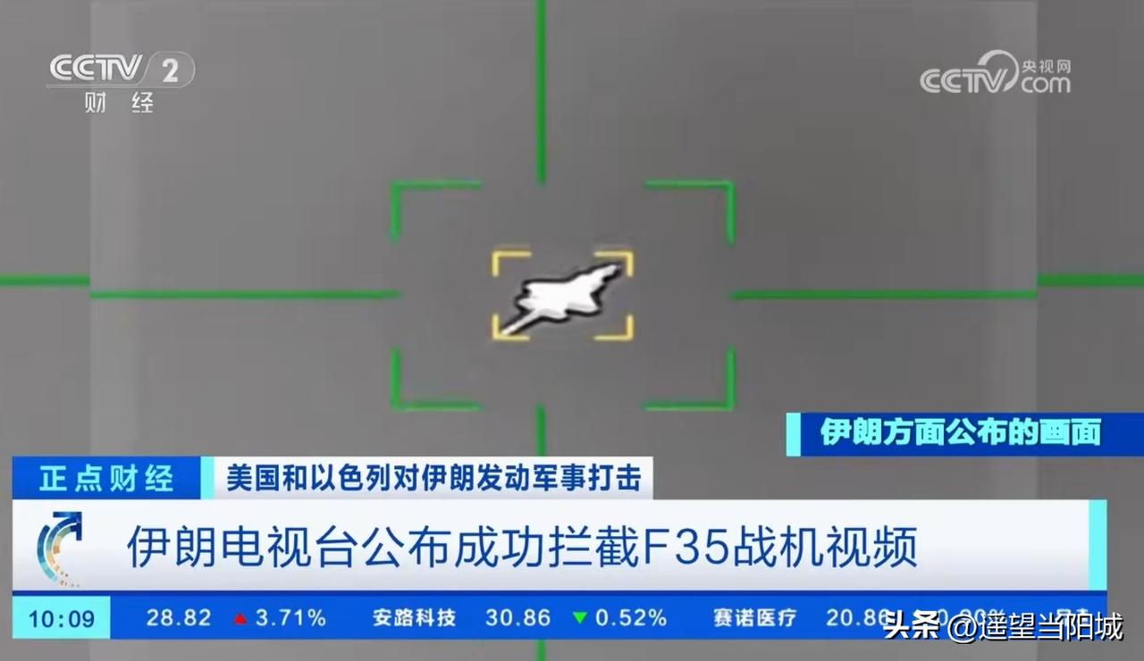 一世鹰名，毁于伊弹。