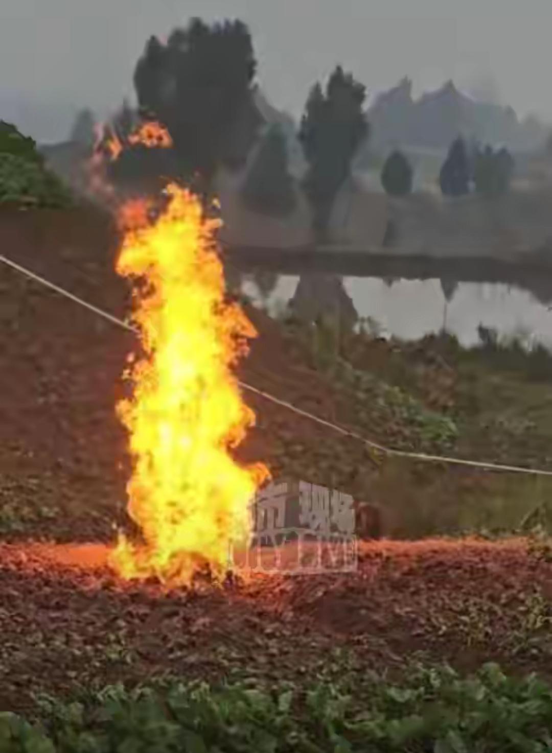 四川南充菜地莫名起火，连烧三天火苗窜到三米高！这场景想想都让人头皮发麻！
 
村
