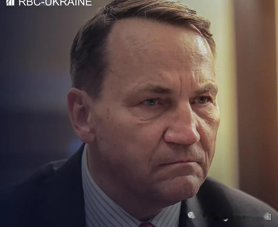 欧盟最有经验的外交官之一、波兰副总理兼外交部长拉多斯瓦夫·西科尔斯基接受了一家乌