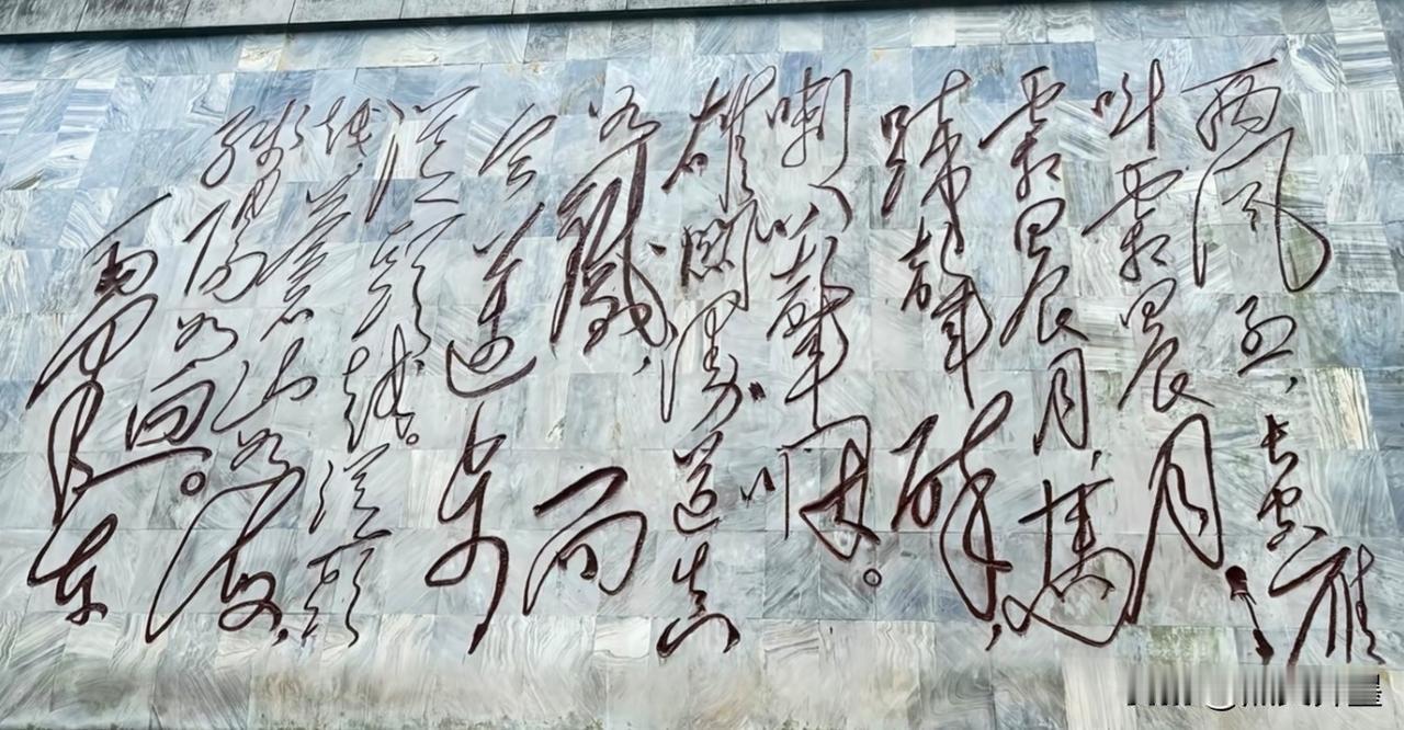 能认全的绝对不简单！