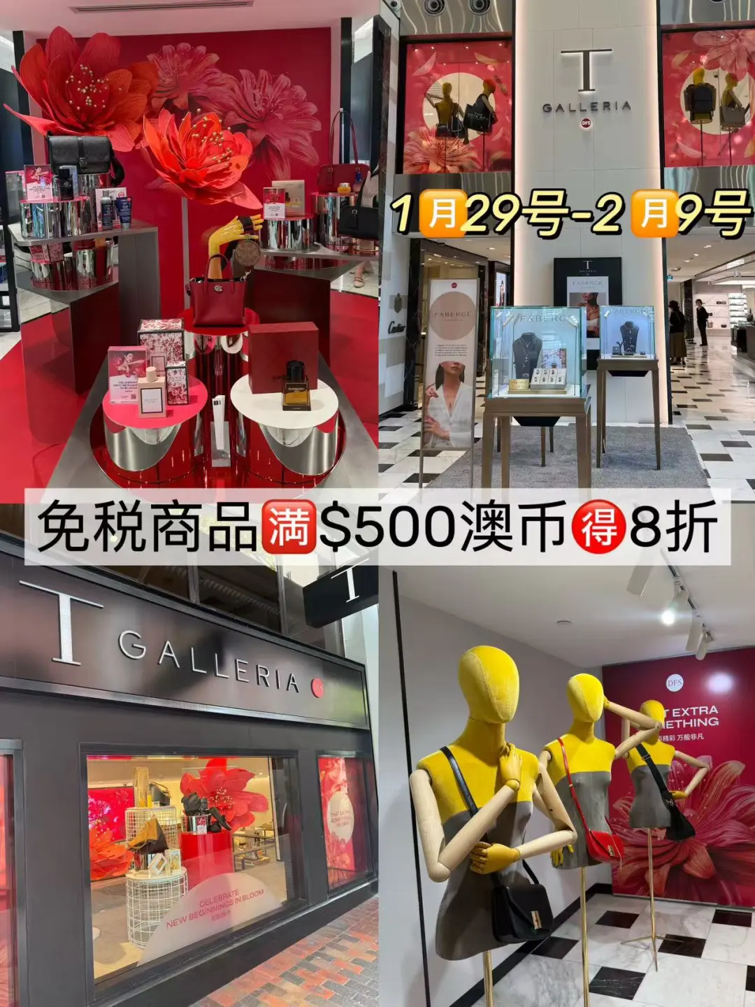 🇦🇺悉尼春节省钱攻略 | 千万别当冤大头‼️