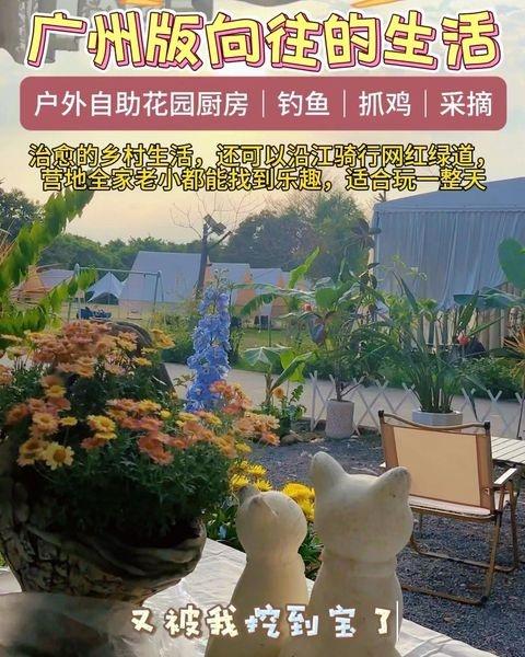 广州版向往的生活｜花园自助厨房
📍广州 闲云森林迷宫·团建·亲子宠物营地
一个