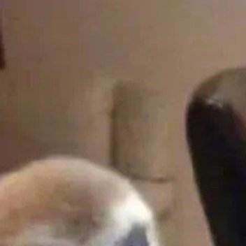 借着微弱的烛光，似乎里面的布置像似很有条理的人生活在这里，朦胧中白天里的那一团缥