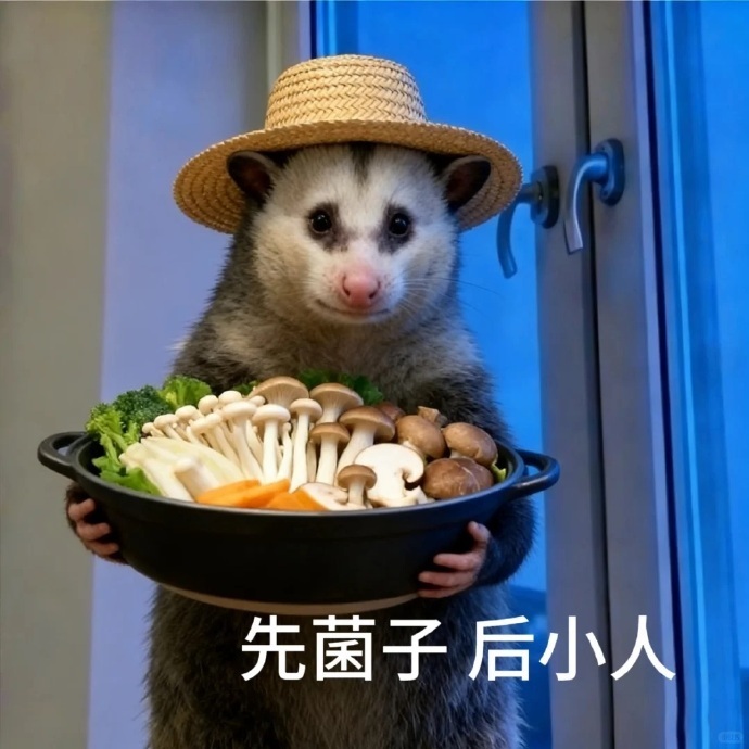 负鼠食物梗抽象表情包 