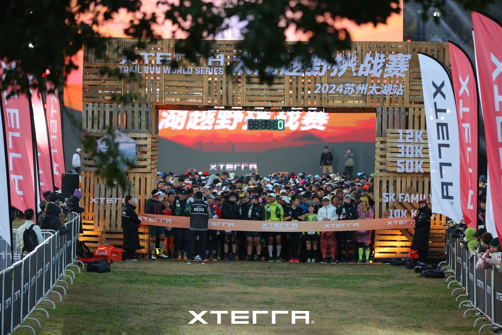 从一颗树开始，和这片山林重修旧好