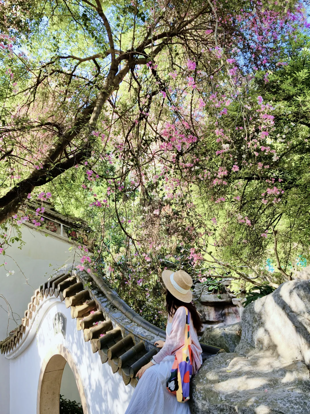 深圳园博园｜半天不费腿私藏出片路线公开