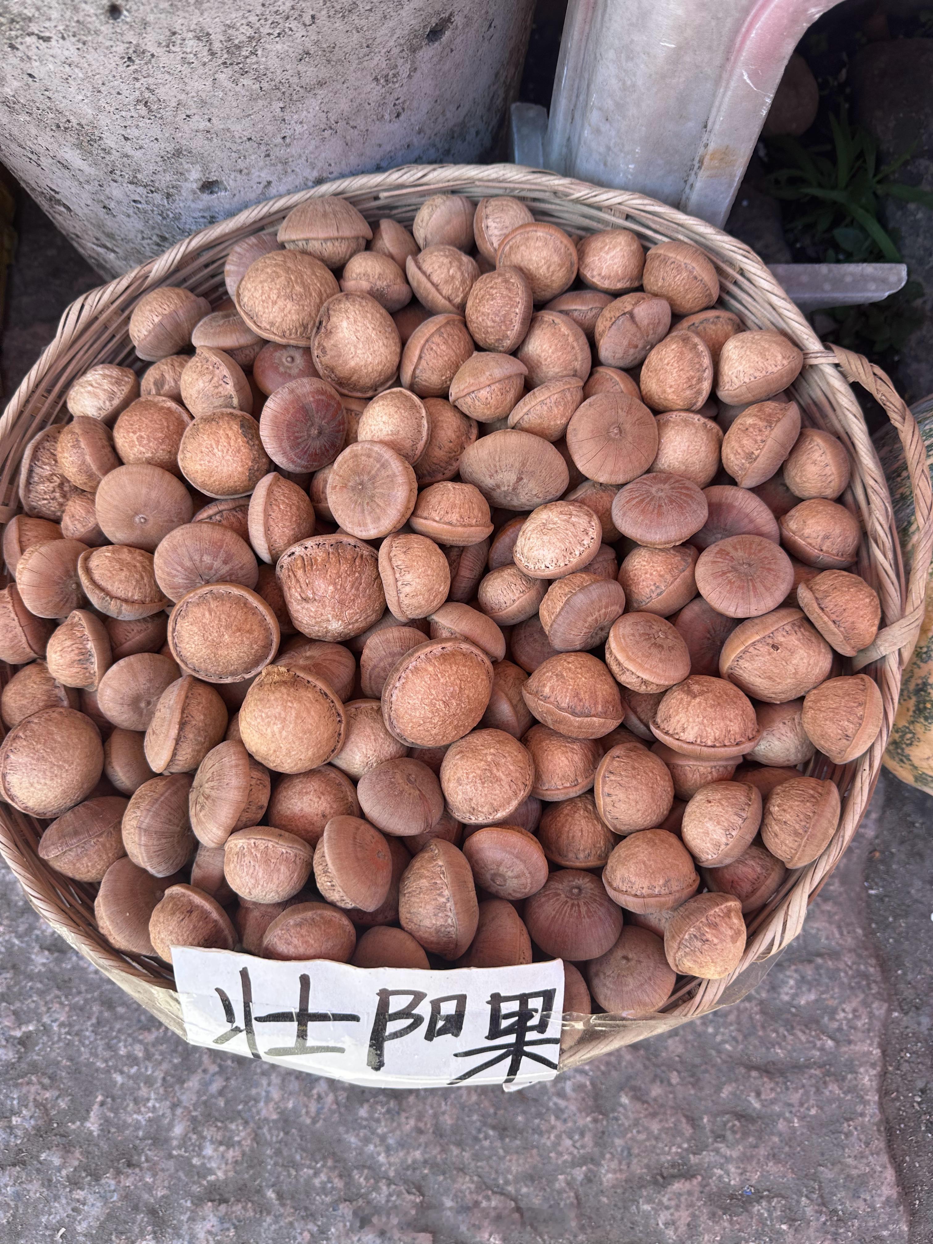 广东人真会吃，这里啥都有，除了没看到传说中可以吃的“福建人”……美食探店