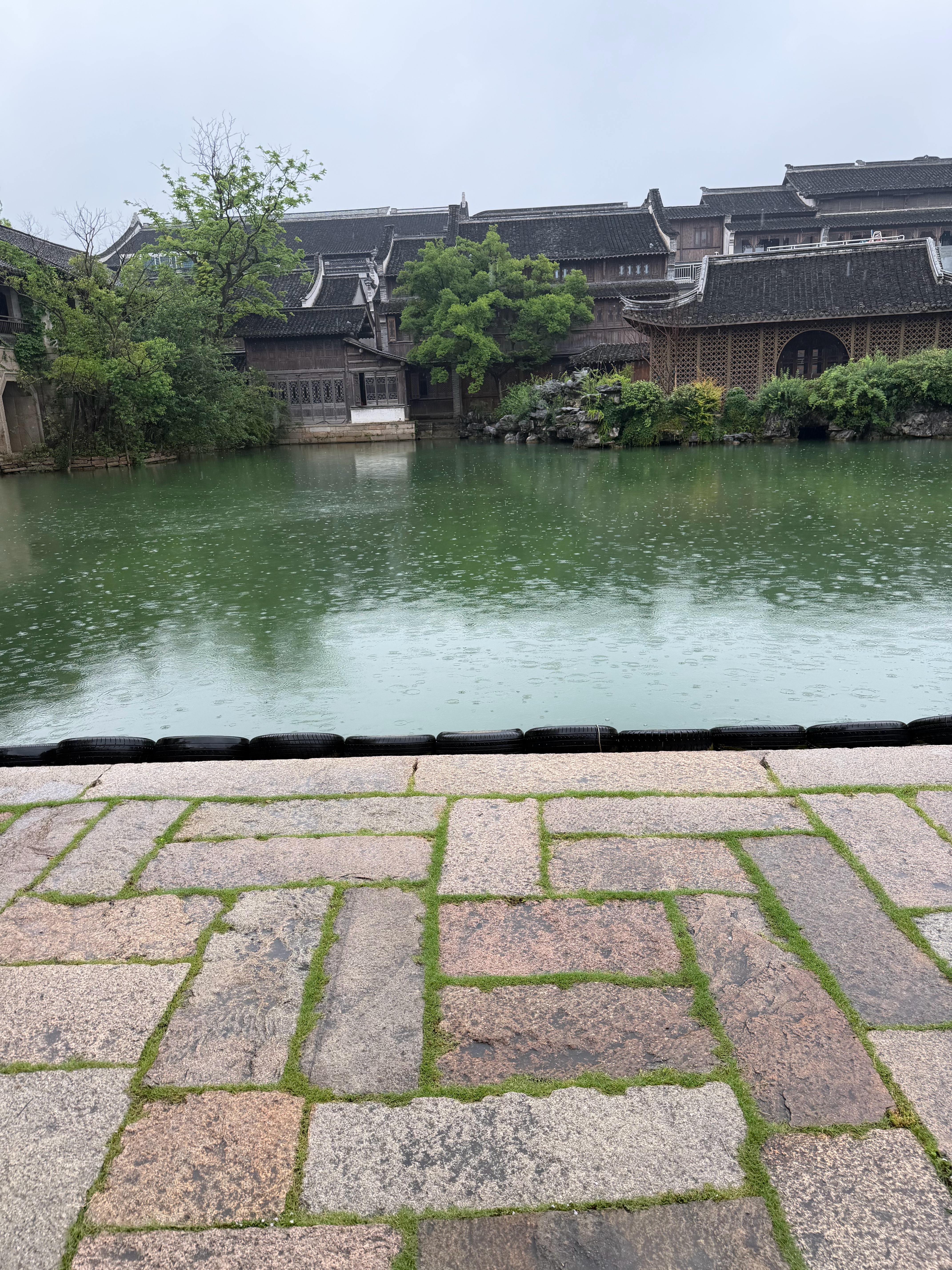我特么永远不会忘记濮院的大雨的想淋的可以来了