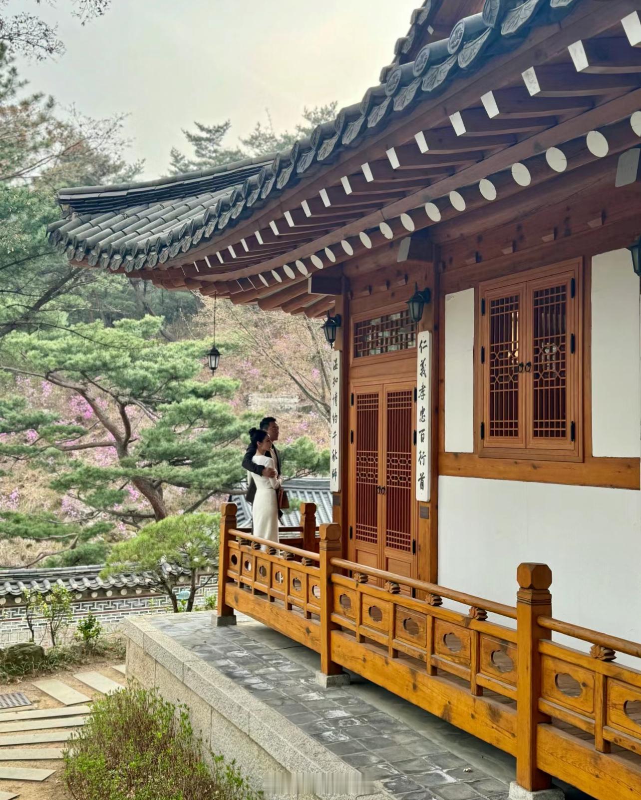 汪小菲和娇妻度蜜月满面春风大S找个韩国老公，汪小菲立马就要去韩国开新店，汪小菲娇