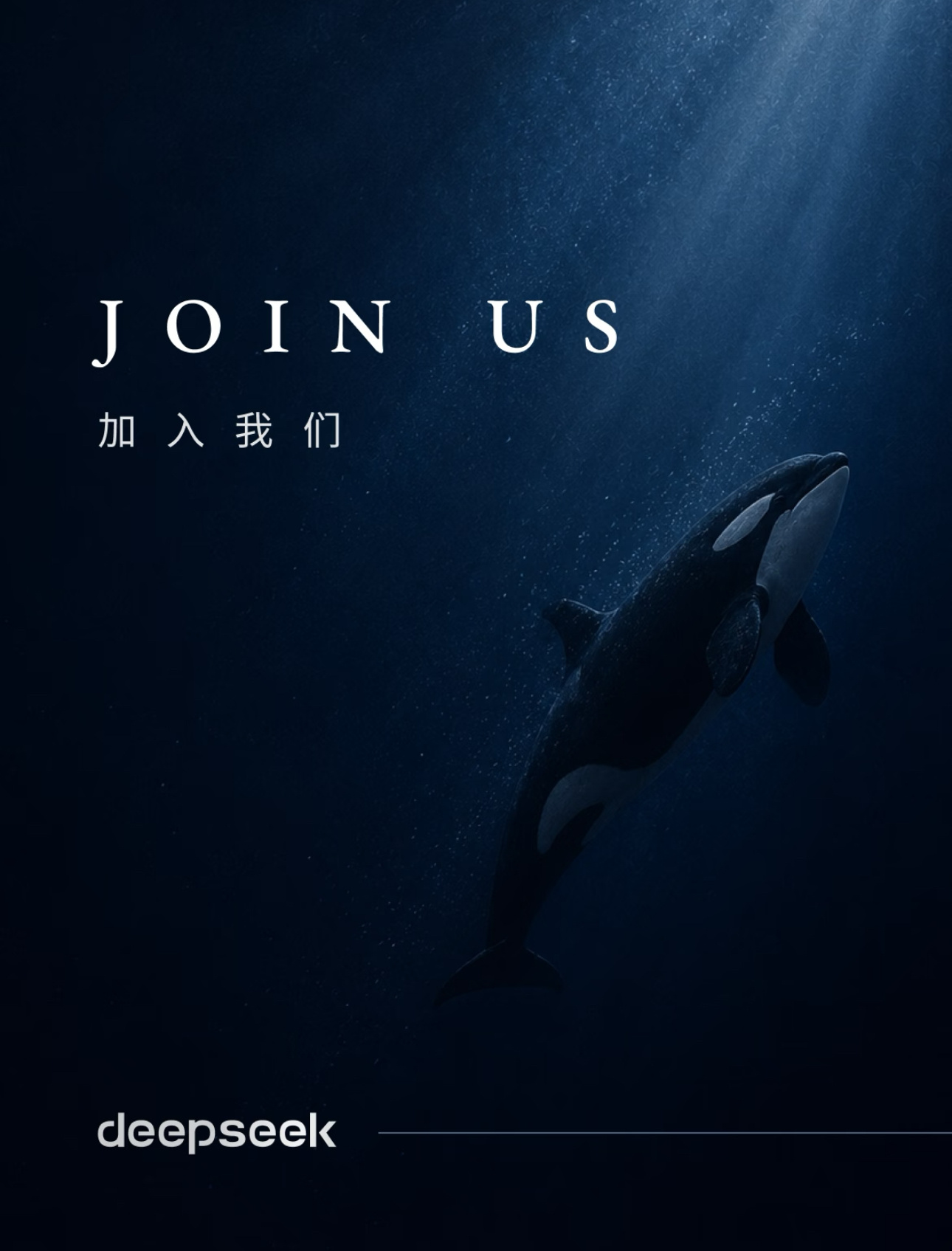 DeepSeek招土木人才了一向以算法见长的DeepSeek，近日发布IDC数据