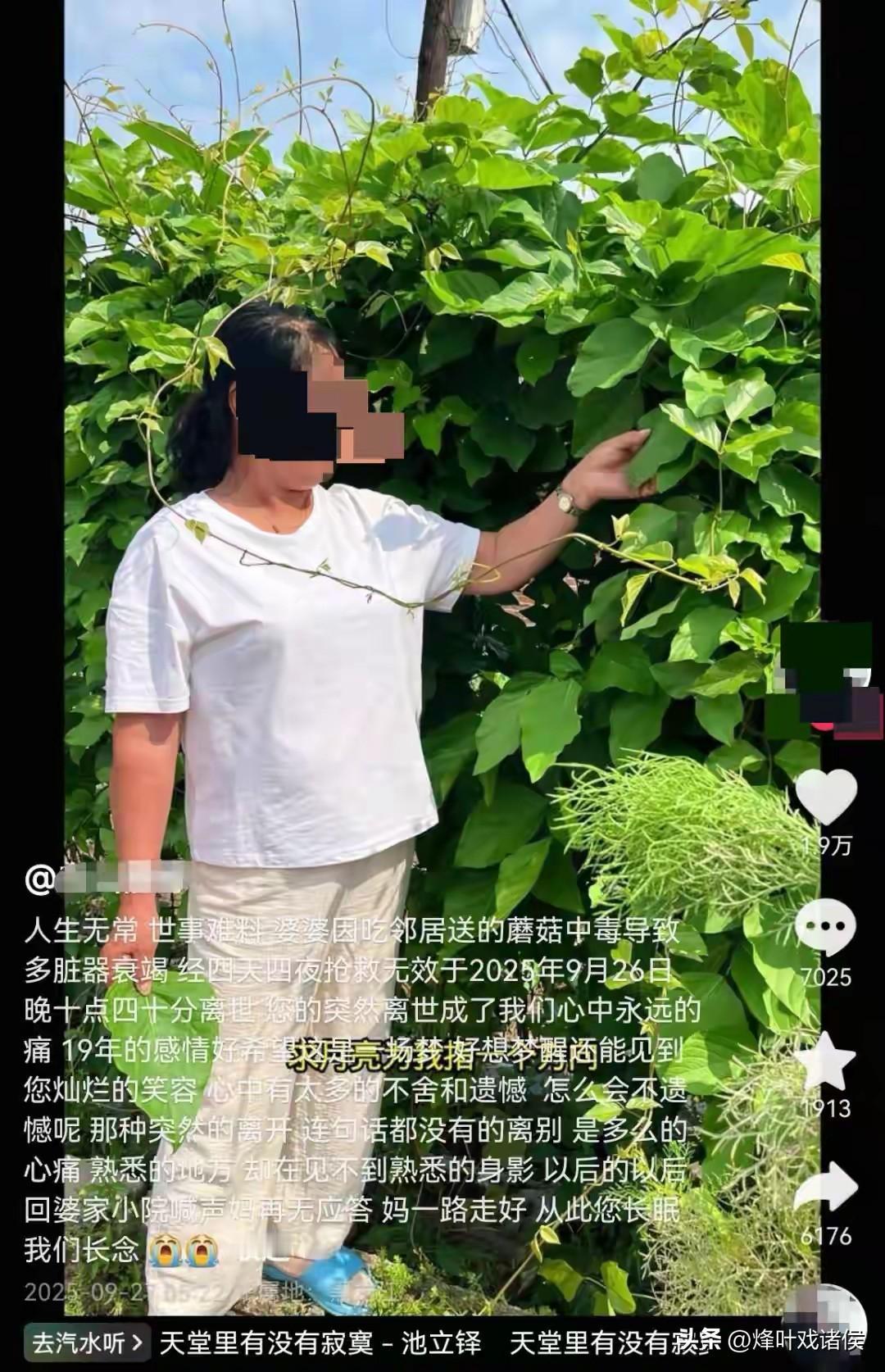 婆婆吃了邻居送的蘑菇，去世了？

说实话，看到这个红星新闻的这个报道后，再根据当